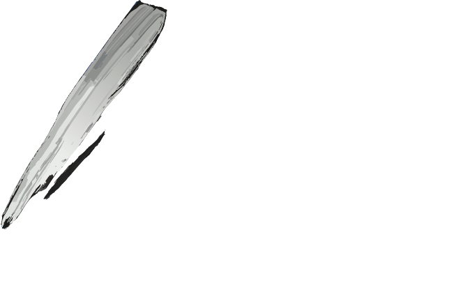 Desiconcept logo